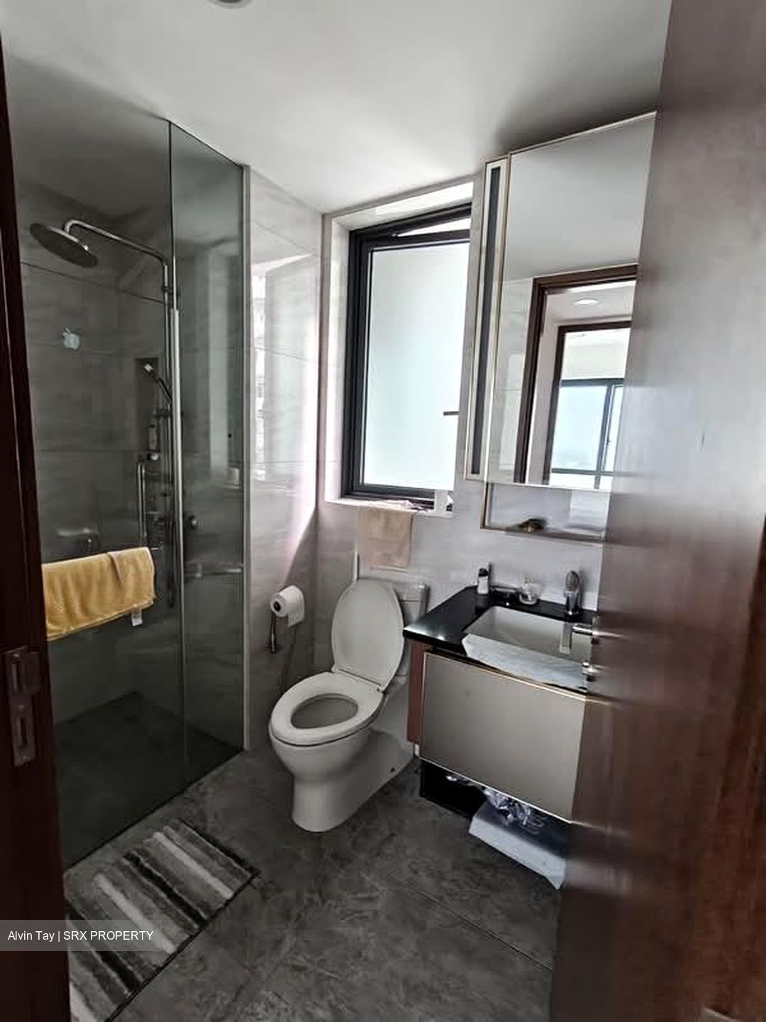 Normanton Park (D5), Apartment #551843311